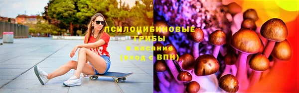 крисы Аркадак