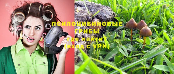 спиды Армянск