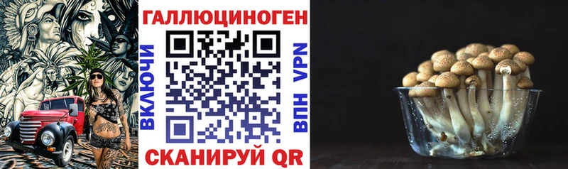 гидра   наркошоп  Сокол  Псилоцибиновые грибы Magic Shrooms 