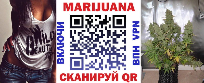 дарнет шоп  Сокол  Бошки Шишки MAZAR 
